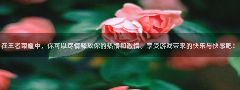 辉达官网首页登录入口